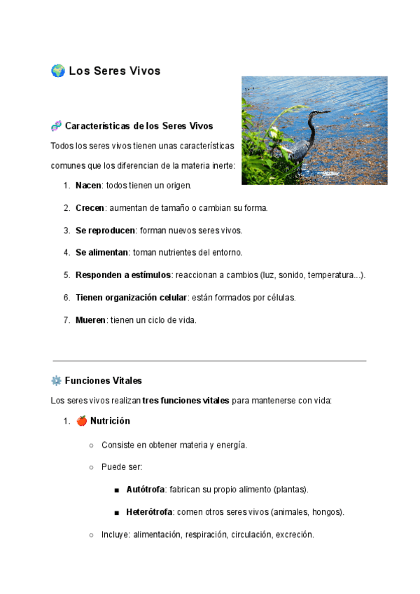 Miniatura del documento los-seres-vivos.pdf