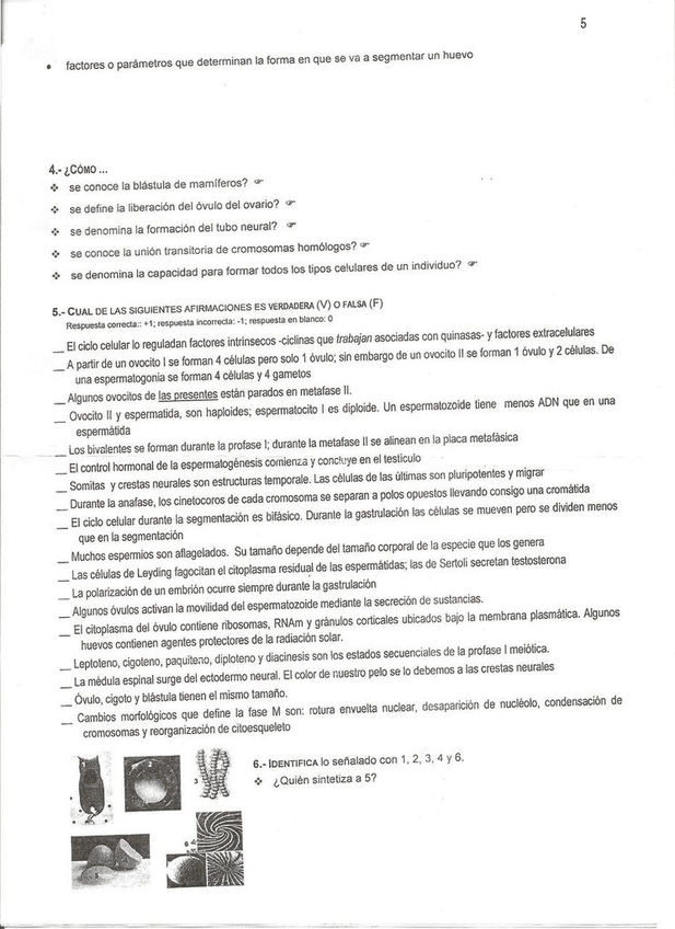 Miniatura del documento Examen parte 2.jpg