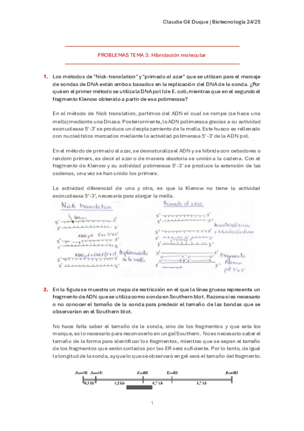 Miniatura del documento PROBLEMAS-TEMA-3.pdf