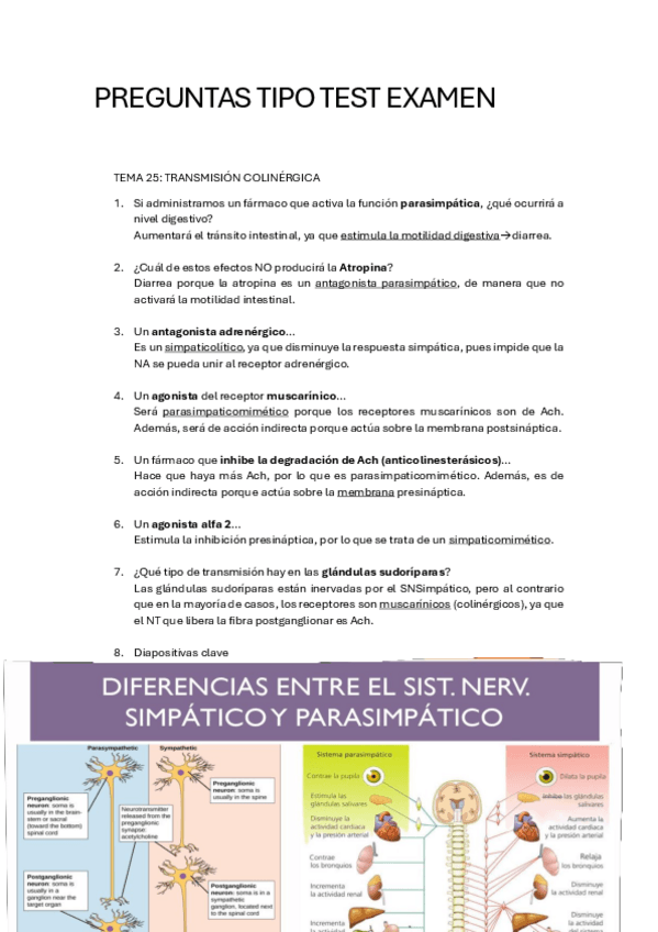 Miniatura del documento Preguntas-Test.pdf