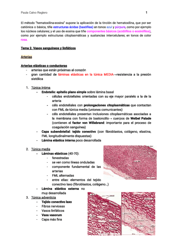 Miniatura del documento Histo-II-PARTE-1.pdf