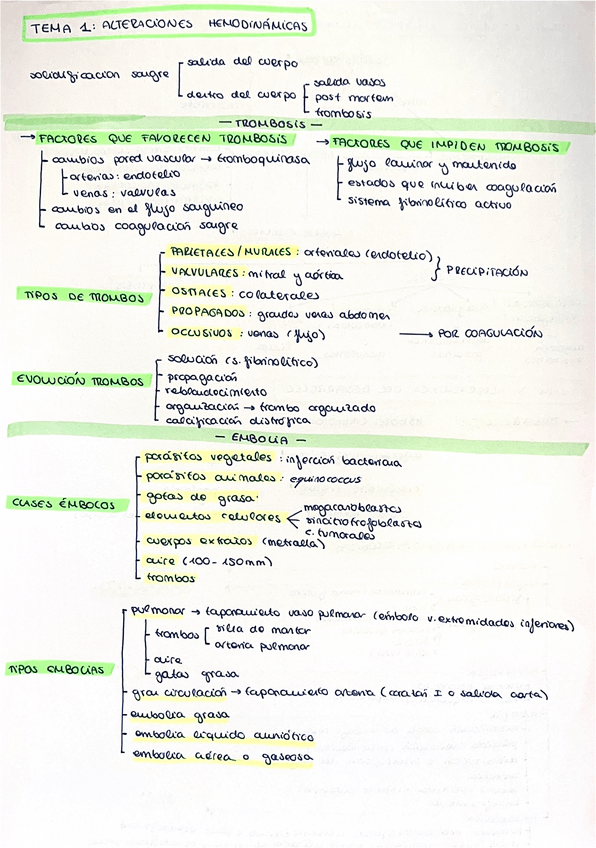 Miniatura del documento Apx-resumen.pdf