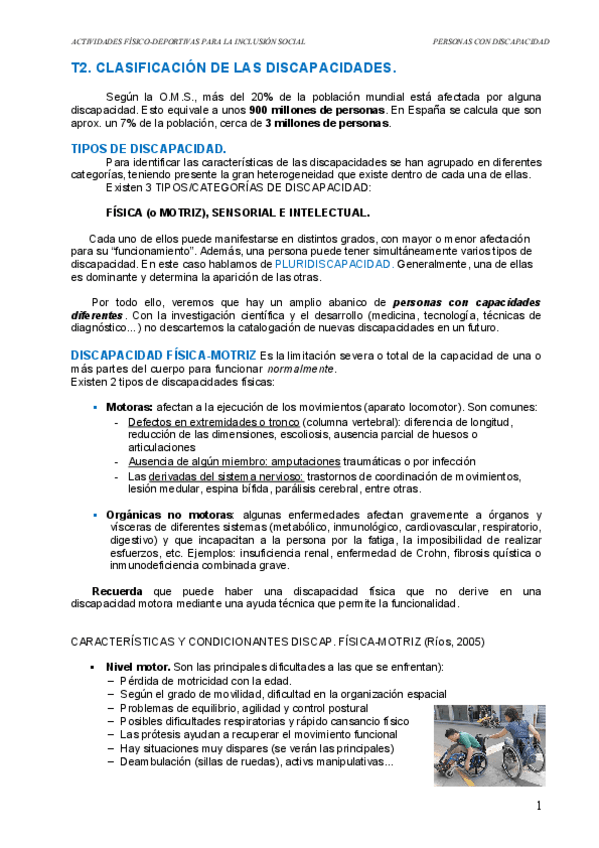 Miniatura del documento UD2-CLASIFICACION-DE-LAS-DISCAPACIDADES.pdf