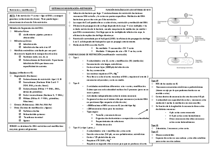 Miniatura del documento IngenieríaGenética.pdf