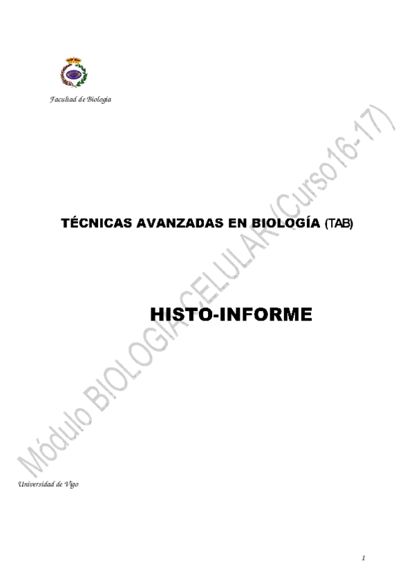 Miniatura del documento Histoinforme.docx