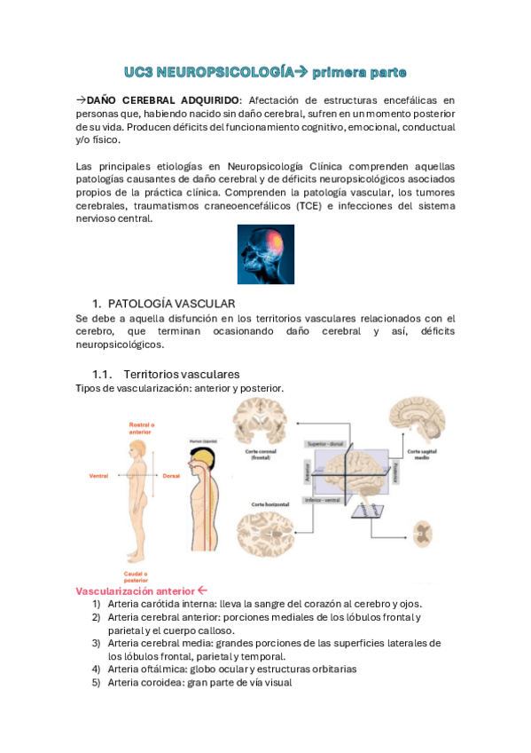 Miniatura del documento UC3-NEUROPSICOLOGIA.pdf