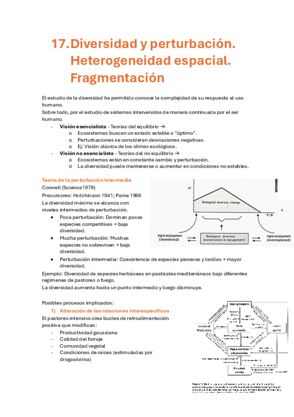 Miniatura del documento Clase-17-ERNA.pdf