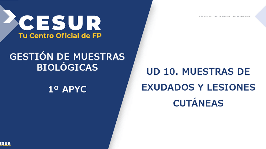 Miniatura del documento UD-10.-MUESTRAS-DE-EXUDADOS-Y-LESIONES-CUTANEAS.pdf