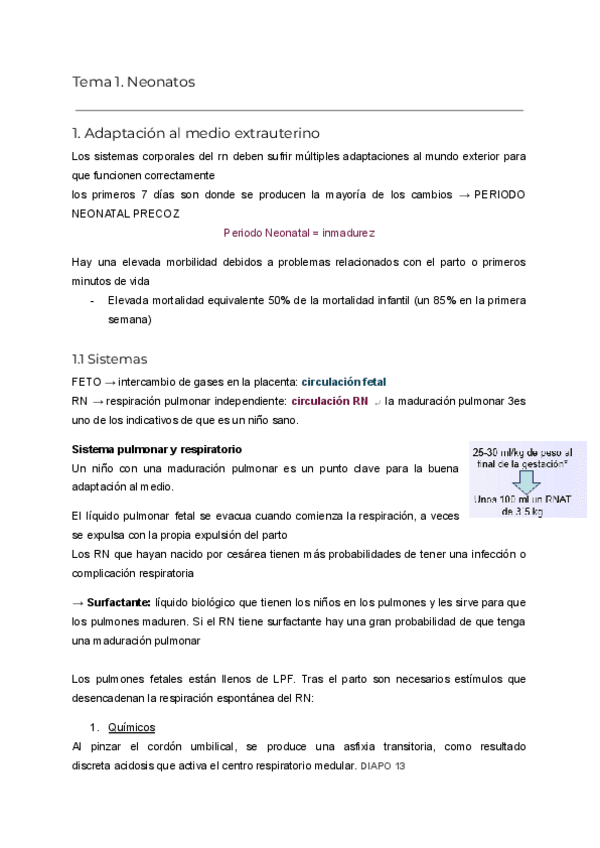 Miniatura del documento CIVA-pedi.pdf