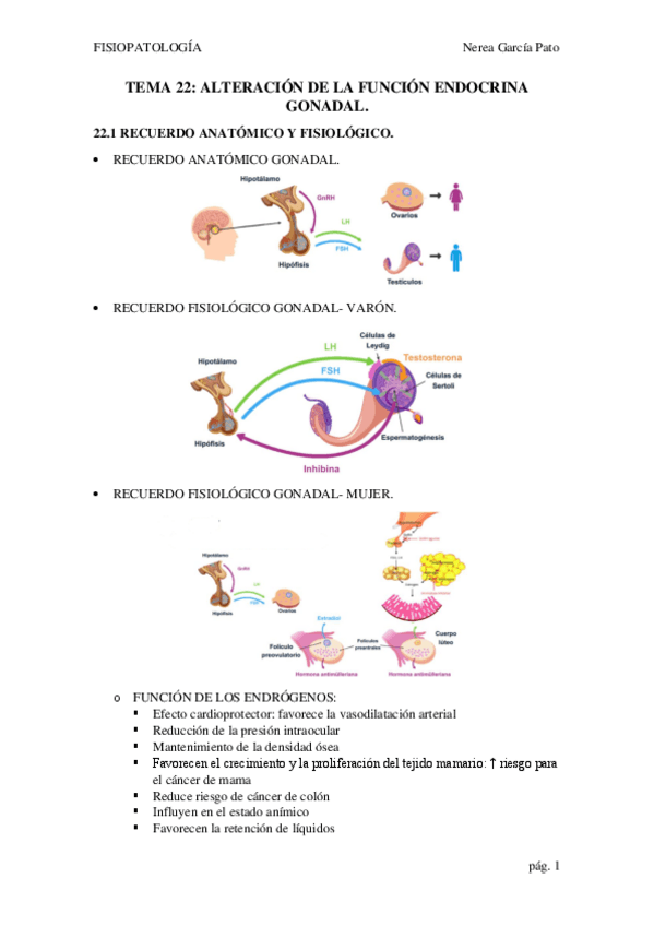 Miniatura del documento TEMA-22-ALTERACION-FUNCION-ENDOCRINA-GONADAL.pdf