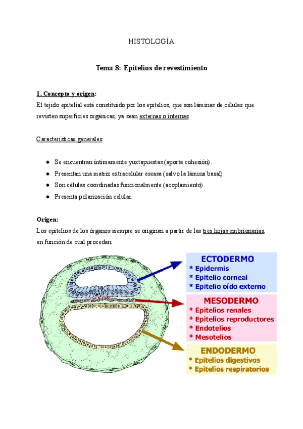 Miniatura del documento Tema-8-Epitelios-de-revestimiento.pdf