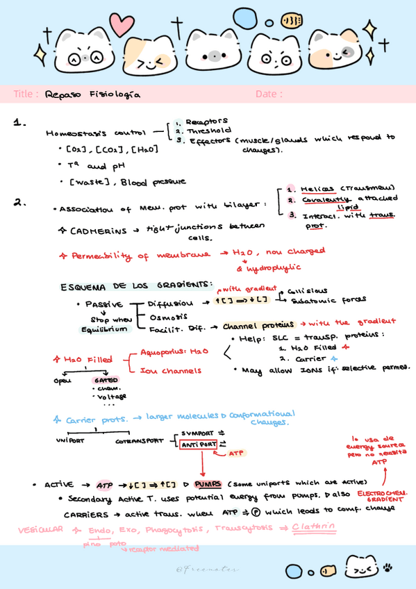Miniatura del documento RESPASOS-DE-FISIOLOGIA.pdf