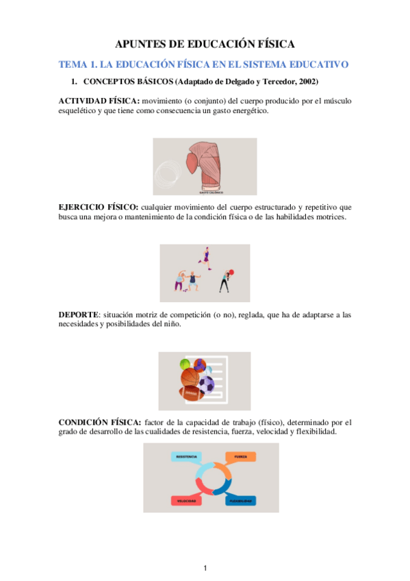 Miniatura del documento Apuntes-de-didactica-de-la-educacion-fisica.pdf