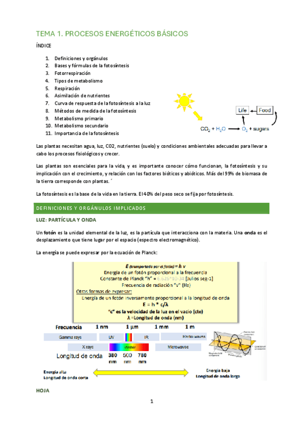 Miniatura del documento FISIOLOGIA-VEGETAL-COMPLETO.pdf