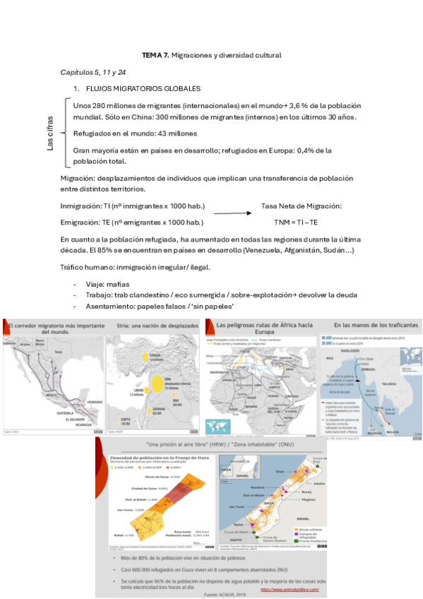 Miniatura del documento Apuntes-T7-Sociologia.pdf