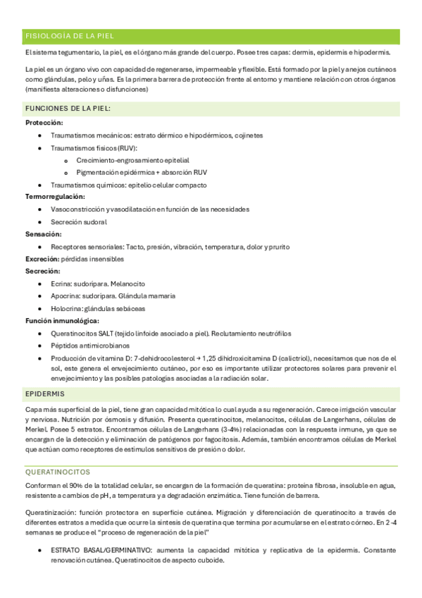 Miniatura del documento Fisiologia-de-la-piel-2425.pdf