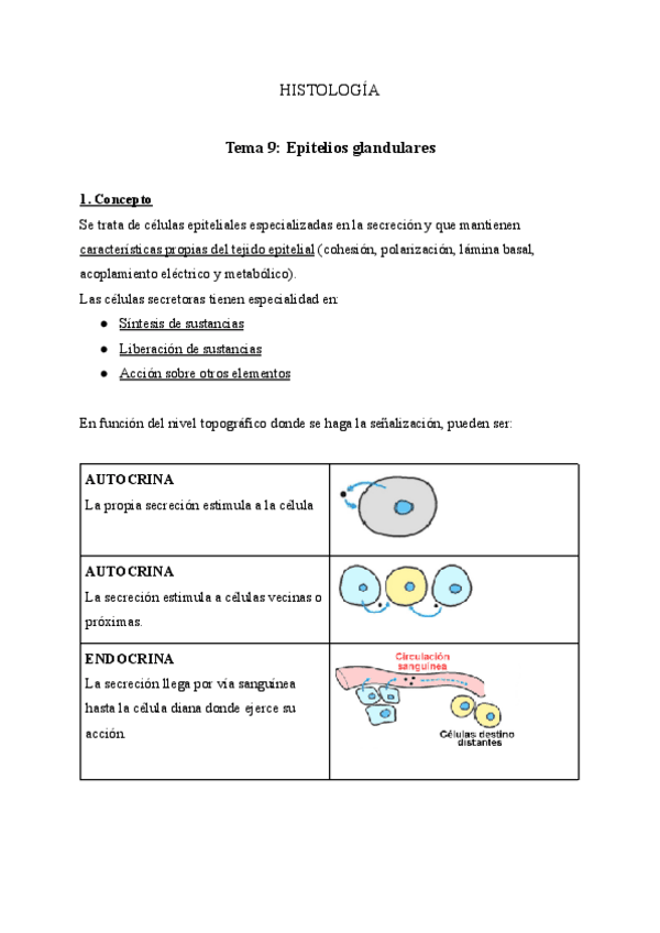 Miniatura del documento Tema-9-Epitelios-glandulares.pdf