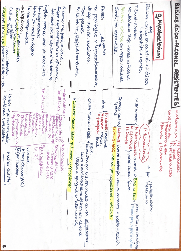 Miniatura del documento Esquema-bacilos-acido-alcohol-resistentes.pdf