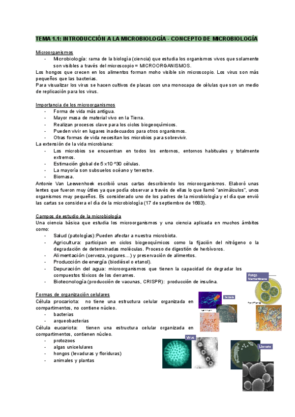 Miniatura del documento Tema-1-en-castellano.pdf