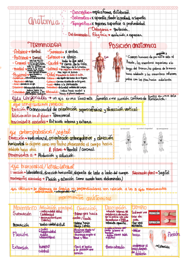 Miniatura del documento GENERALIDADES.pdf