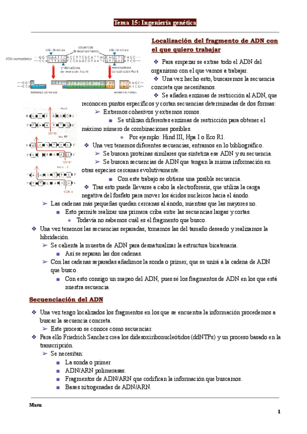 Miniatura del documento Biologia-Tema-15-Ingenieria-genetica..pdf
