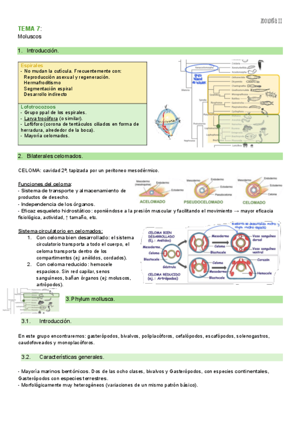 Miniatura del documento TEMA-7-ZOO-II.pdf