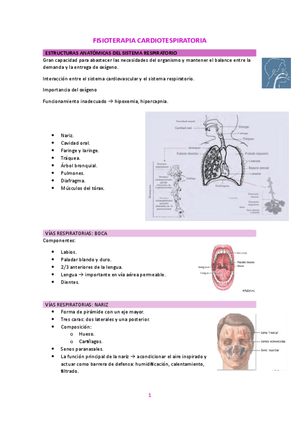 Miniatura del documento FISIOTERAPIA-CARDIOTESPIRATORIA-JADRANA.pdf