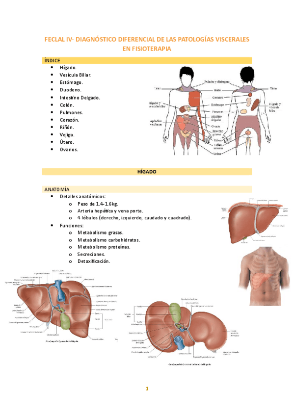 Miniatura del documento FECLAL-IV-PATOLOGIAS-VISCERALES.pdf