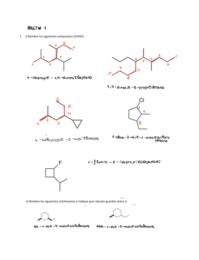 Miniatura del documento Boletin-Tema-1-2-organica-1.pdf
