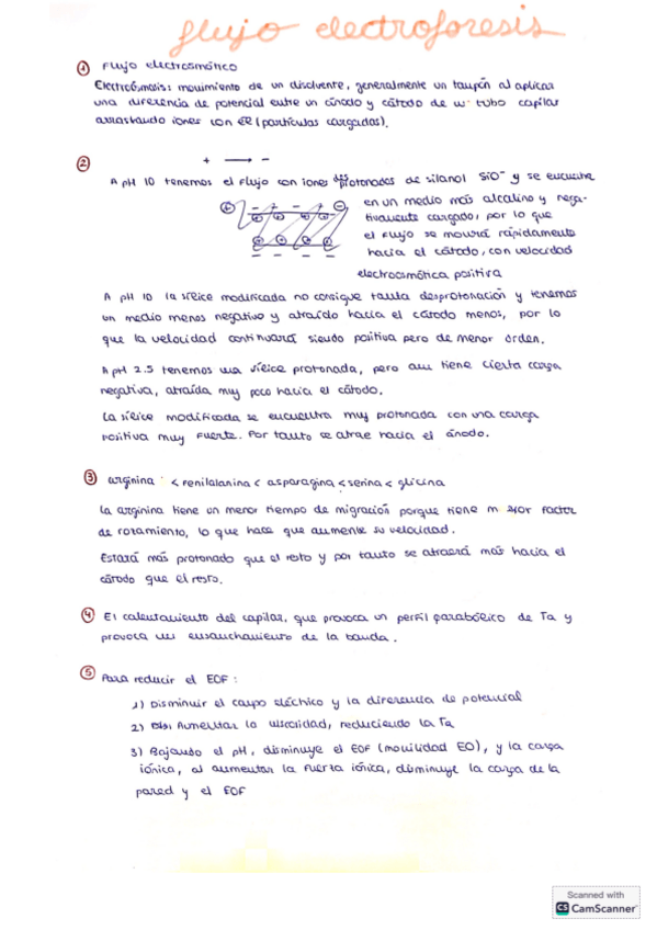 Miniatura del documento Ejs-analitica-III-electroforesis.pdf
