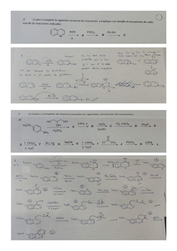 Miniatura del documento Examen-Convocatoria-Enero-2024-2025-blanco.pdf