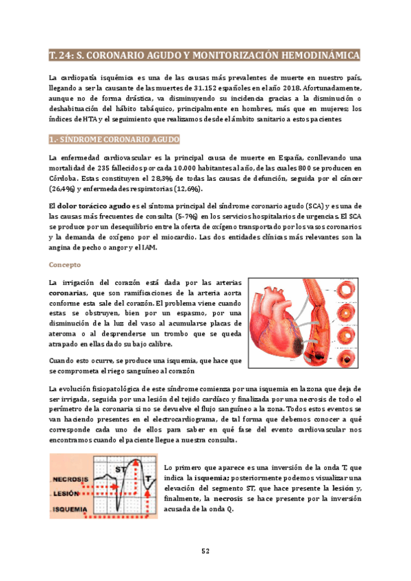Miniatura del documento CUIDADOS-CRITICOS-52-78.pdf