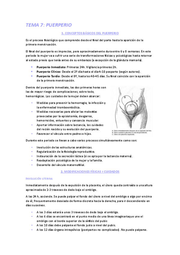 Miniatura del documento GINE7.pdf