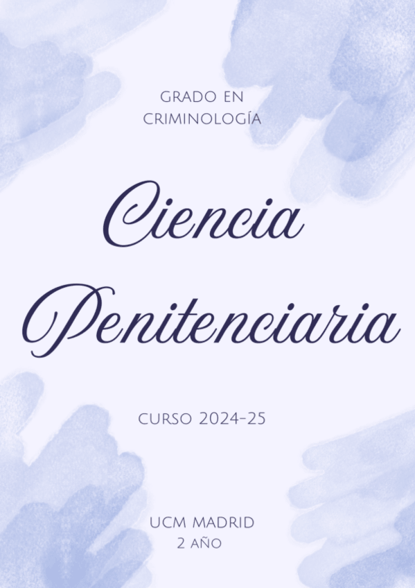 Miniatura del documento DERECHO-PENITENCIARIO.pdf