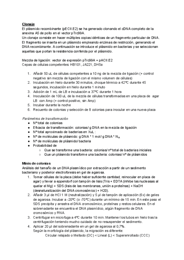 Miniatura del documento Teoria-LABIOTEC.pdf