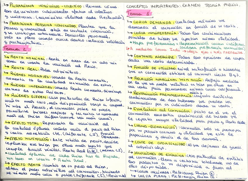 Miniatura del documento Concpetos-importante--Temas-1-2-3.pdf