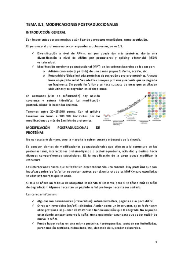 Miniatura del documento TEMA-3.pdf