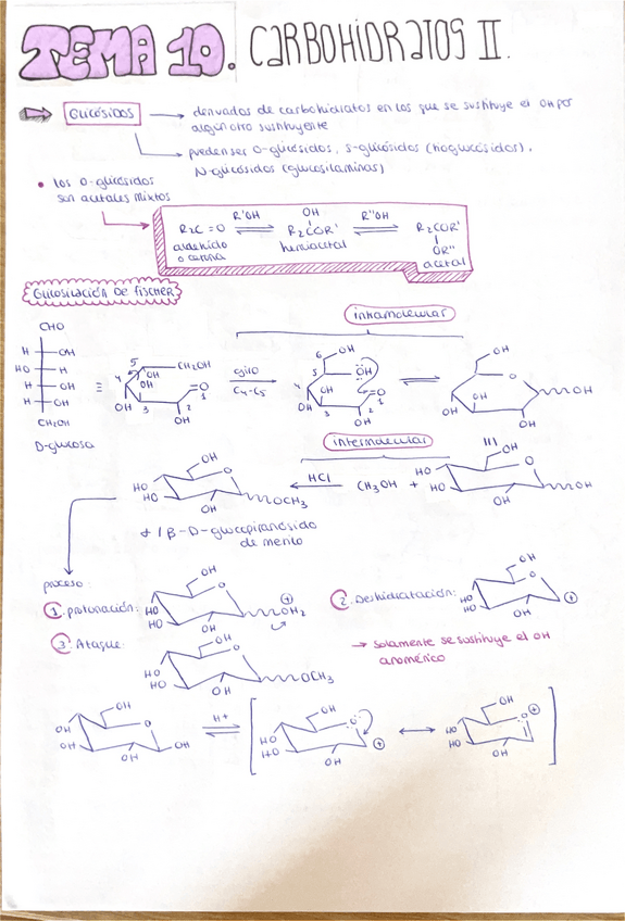 Miniatura del documento Tema 10 Química Orgánica II Matrícula de Honor.pdf