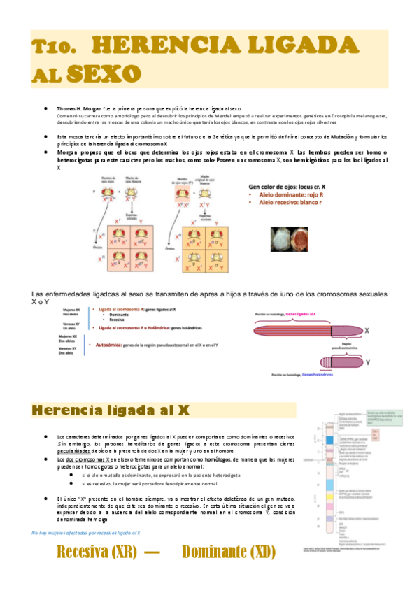 Miniatura del documento genetica-med-T10.pdf