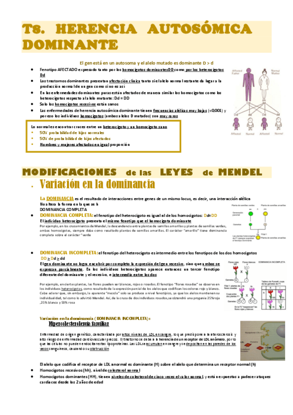 Miniatura del documento genetica-med-T8.pdf