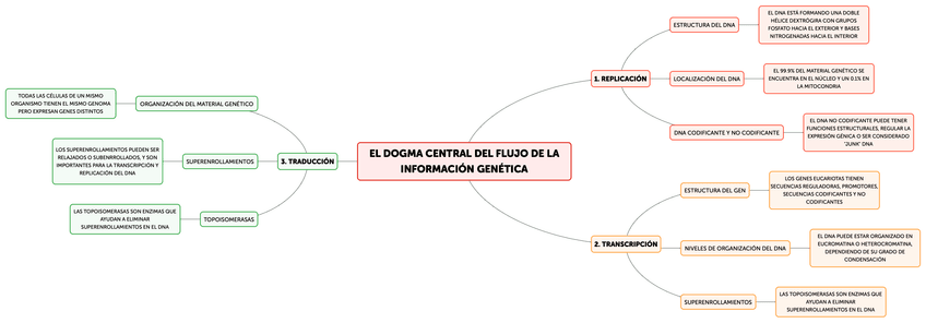 Miniatura del documento EL-DOGMA-CENTRAL-DEL-FLUJO-DE-LA-INFORMACION-GENETICA.png