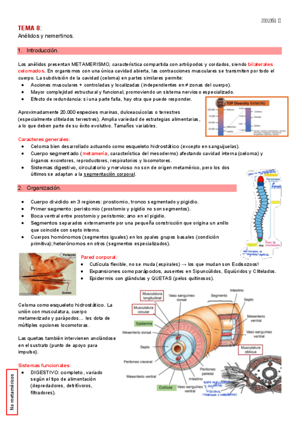 Miniatura del documento TEMA-8-ZOO-II.pdf