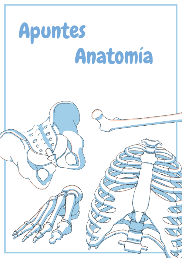 Miniatura del documento 2o-Parcial-Anatomia-2024-2025.pdf