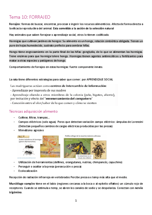 Miniatura del documento tema-10-clase-eto.pdf