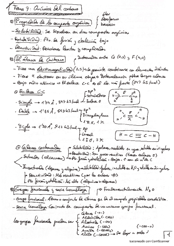 Miniatura del documento Tema-7-Quimica-del-Carbono.pdf