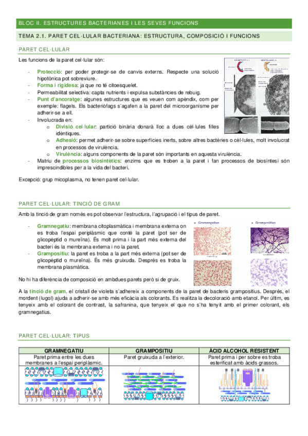Miniatura del documento Apuntes-Bloc-II-Microbiologia-I.pdf