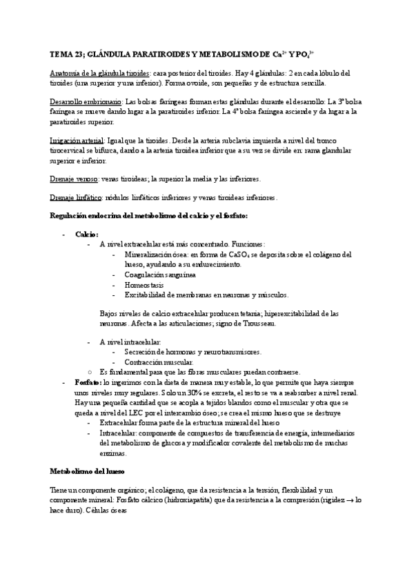 Miniatura del documento T21.pdf