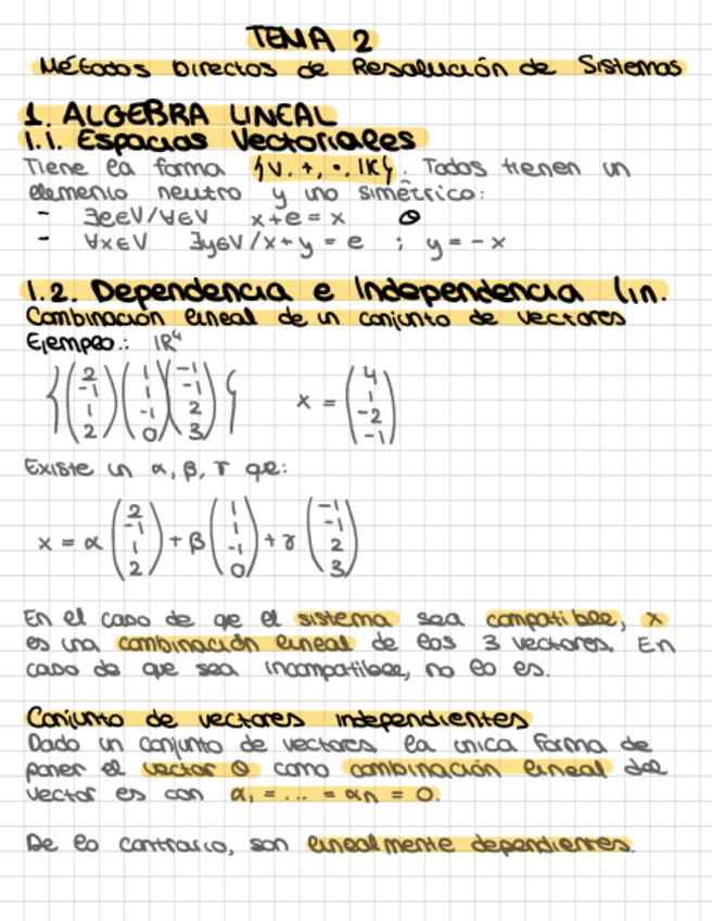 Miniatura del documento Resumen-T2-ALN.pdf