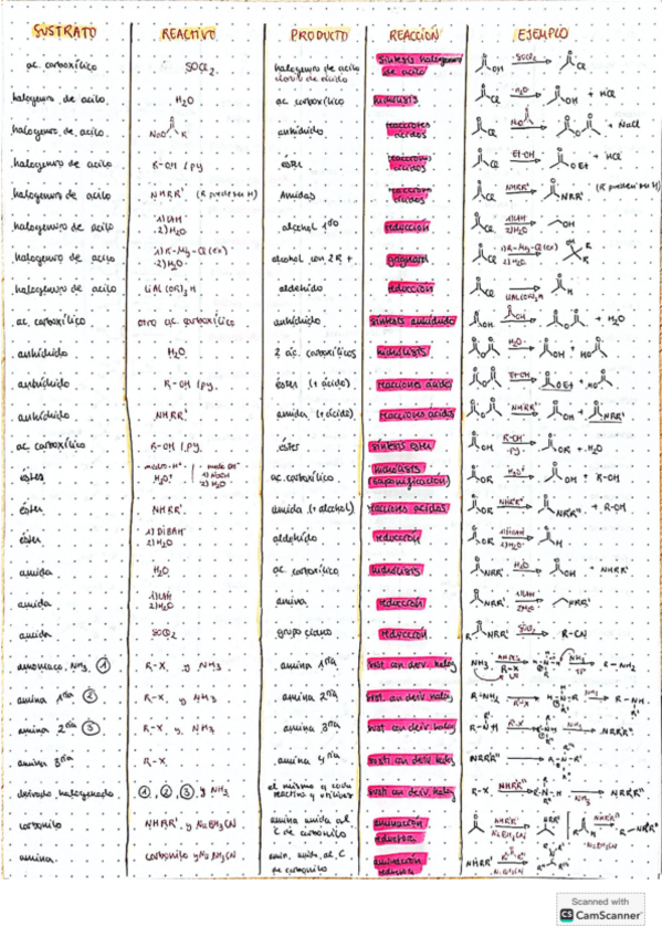 Miniatura del documento Resumen-tema-10-y-11.pdf