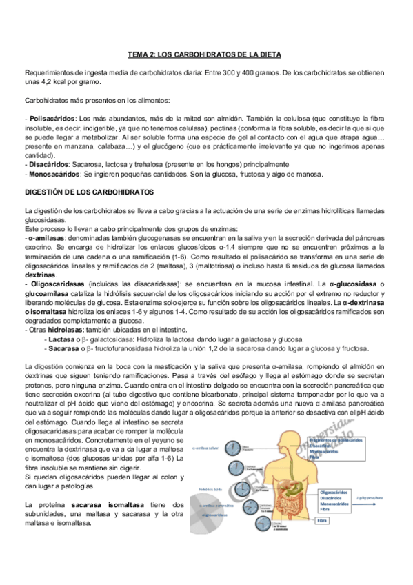 Miniatura del documento Bioquimica-metabolica-natalia-TEMA-2.pdf